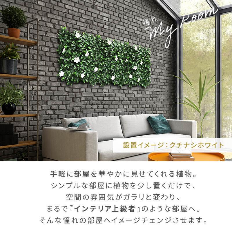 green✴︎即購入OK様 だいすkの投稿動画を楽しみましょう！#TikTok