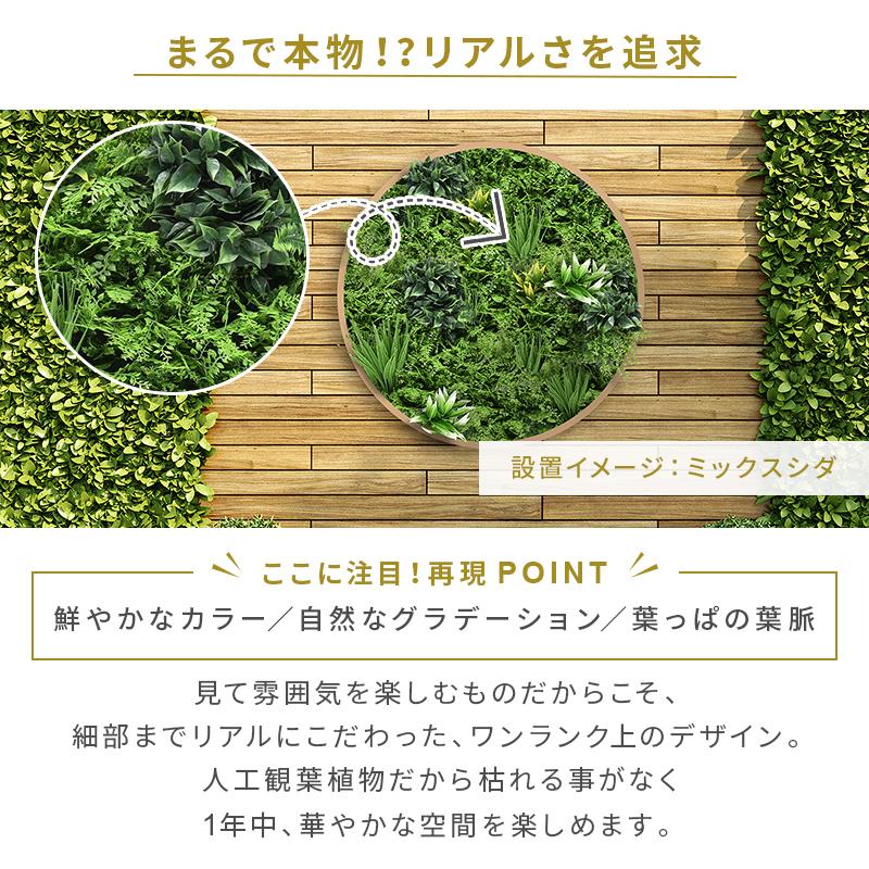 フェイクグリーン1mx3m 1枚50cmx50cm 12枚セット 連結サイズ50cmx6m グリーンフェンス インテリアグリーン 目隠し ベランダの画像