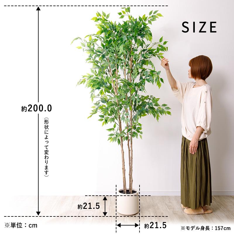 トリプルベンジャミン 光触媒 人工観葉植物 造花 光触媒 光の楽園 ベンジャミン 高さ 1.8m【インテリア フェイク