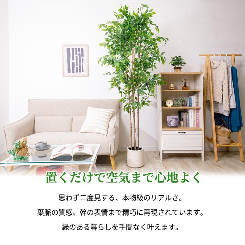 MINT ベンジャミン フェイクグリーン 光触媒フェイクグリーン 観葉植物