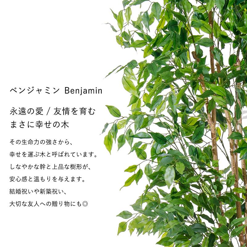 MINT ベンジャミン フェイクグリーン 光触媒フェイクグリーン 観葉植物