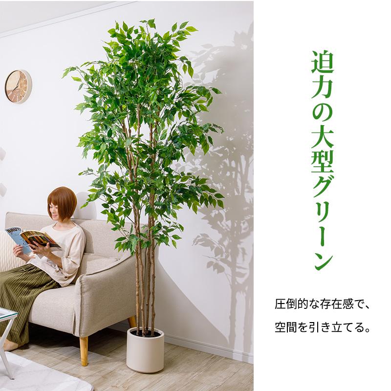 MINT ベンジャミン フェイクグリーン 光触媒フェイクグリーン 観葉植物