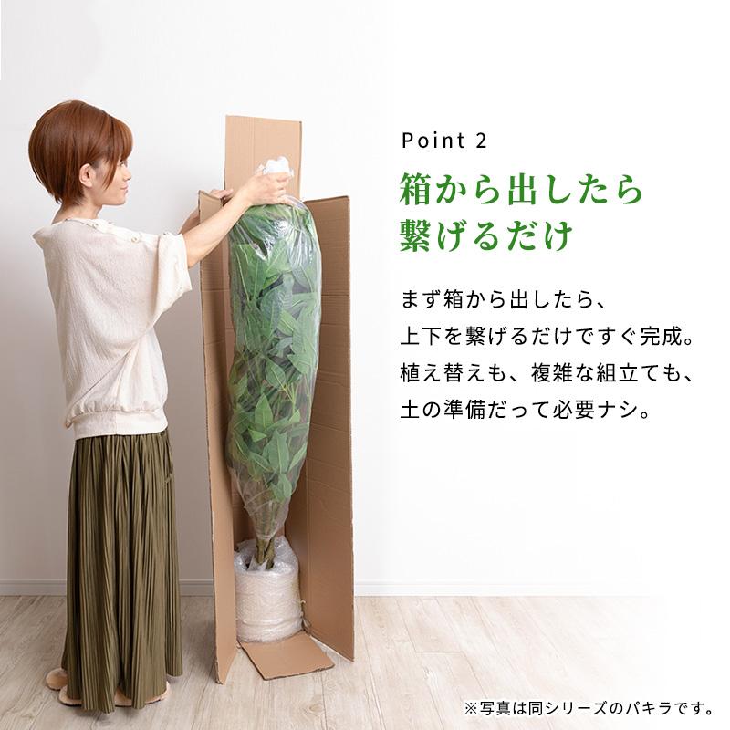 MINT ベンジャミン フェイクグリーン 光触媒フェイクグリーン 観葉植物