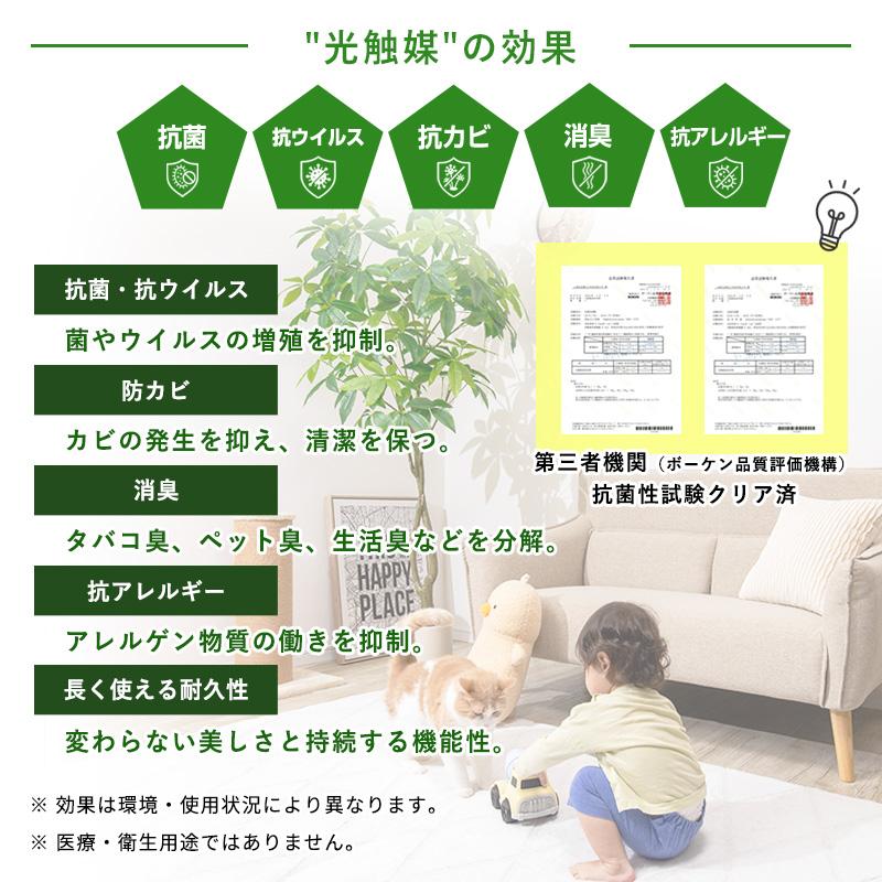 MINT ドラセナ フェイクグリーン 光触媒フェイクグリーン 観葉植物