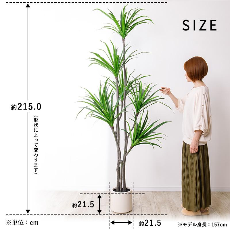 MINT ドラセナ フェイクグリーン 光触媒フェイクグリーン 観葉植物