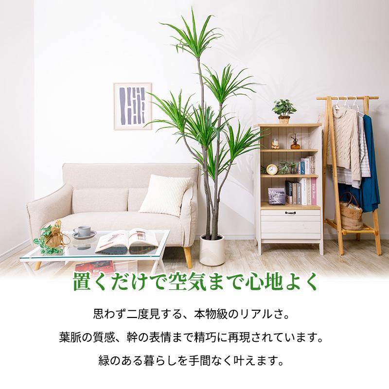MINT ドラセナ フェイクグリーン 光触媒フェイクグリーン 観葉植物