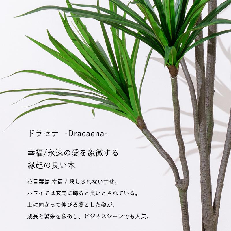 MINT ドラセナ フェイクグリーン 光触媒フェイクグリーン 観葉植物