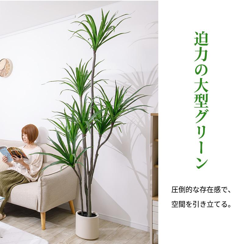 MINT ドラセナ フェイクグリーン 光触媒フェイクグリーン 観葉植物