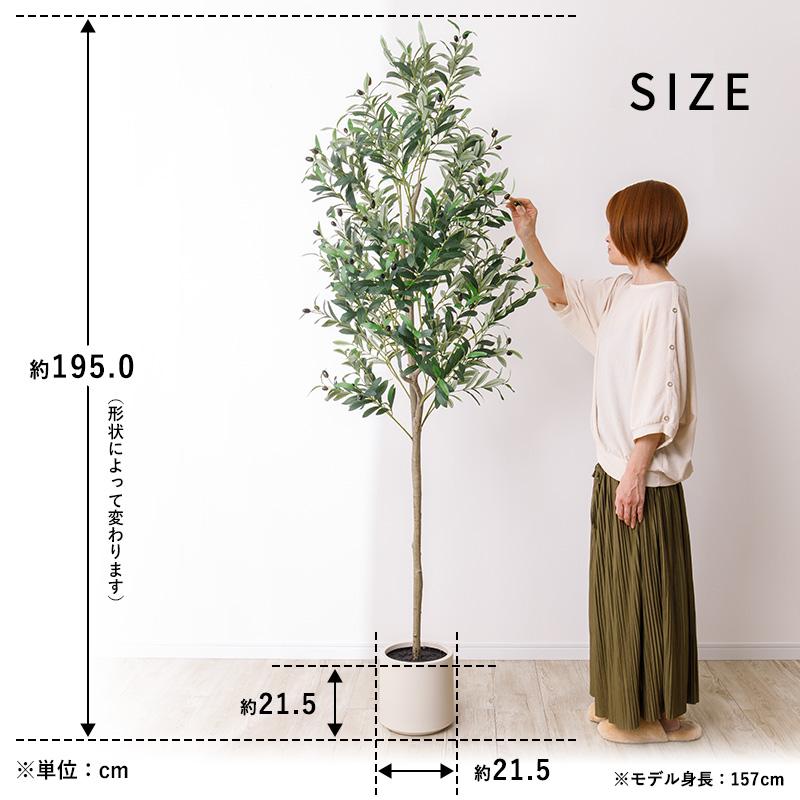 MINT オリーブ フェイクグリーン 光触媒フェイクグリーン 観葉植物