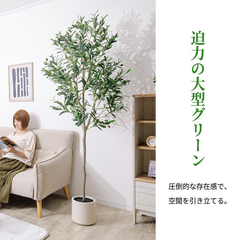 光触媒　人工観葉植物　ウォールグリーン　フェイクグリーン　スリムオリーブ1.6 光触媒 人工観葉植物 ウォールグリーン フェイクグリーン オリーブ1.2m