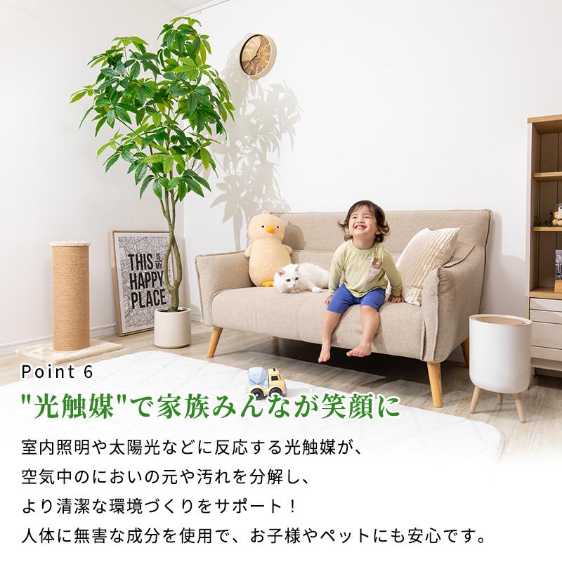 MINT パキラ フェイクグリーン 光触媒フェイクグリーン 観葉植物 造花