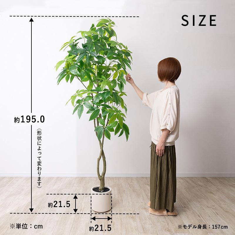 MINT パキラ フェイクグリーン 光触媒フェイクグリーン 観葉植物 造花