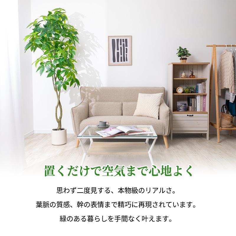 MINT パキラ フェイクグリーン 光触媒フェイクグリーン 観葉植物 造花
