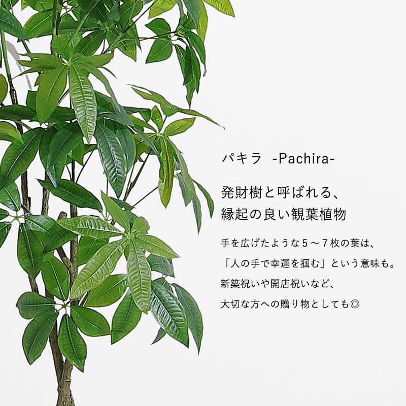 MINT パキラ フェイクグリーン 光触媒フェイクグリーン 観葉植物 造花