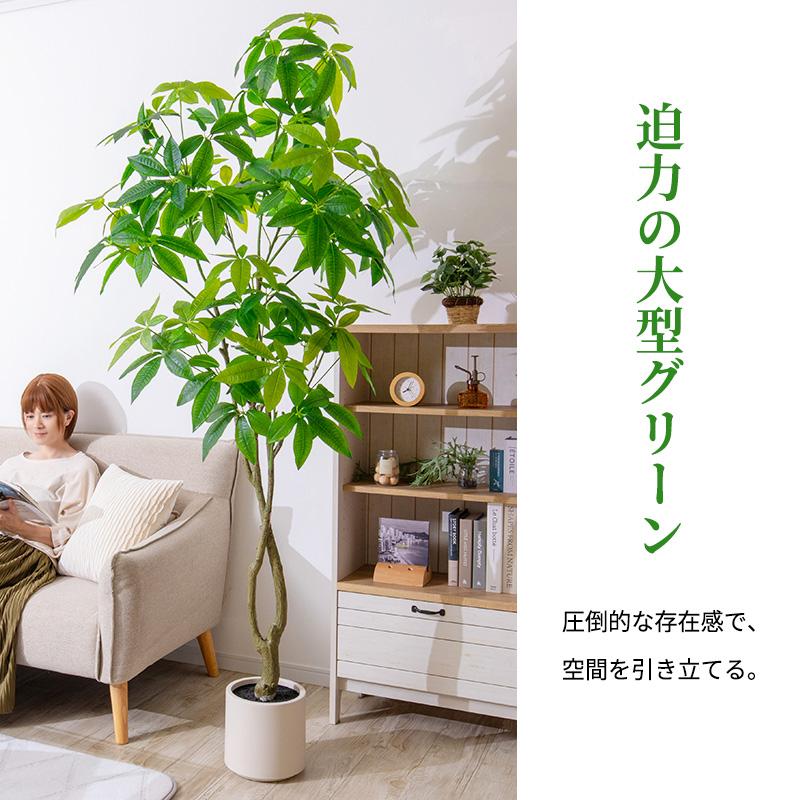 MINT パキラ フェイクグリーン 光触媒フェイクグリーン 観葉植物 造花