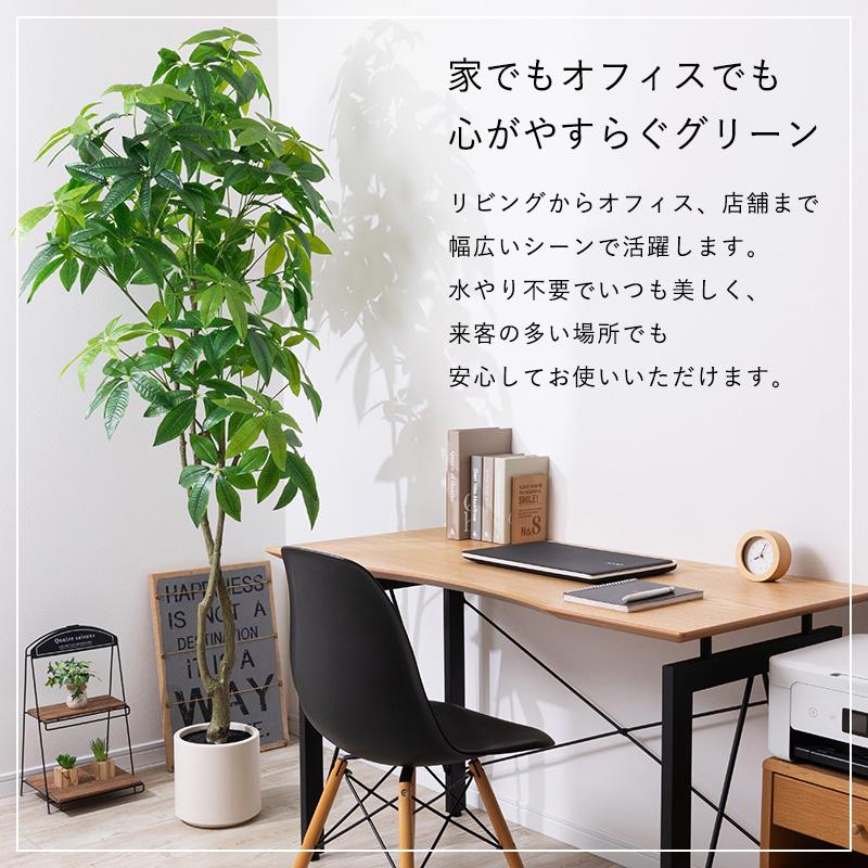 MINT パキラ フェイクグリーン 光触媒フェイクグリーン 観葉植物 造花