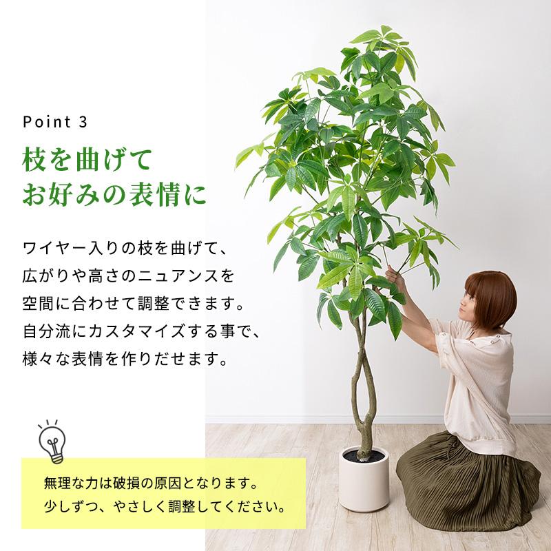 MINT パキラ フェイクグリーン 光触媒フェイクグリーン 観葉植物 造花