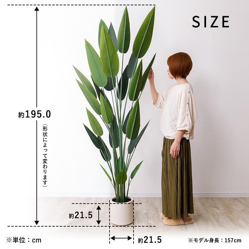 ストレチア　ストレリチア　観葉植物　光触媒　
定価43560円 光触媒 光の楽園 ストレチア花付き1.5m【インテリア フェイクグリーン
