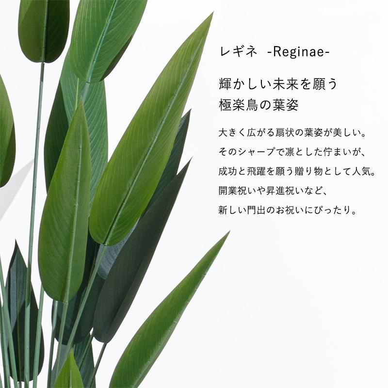 MINT ストレリチア フェイクグリーン 光触媒フェイクグリーン 観葉植物