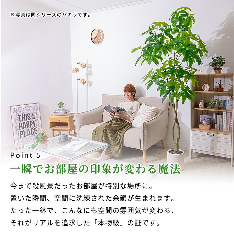 MINT ウンベラータ フェイクグリーン 光触媒フェイクグリーン 観葉植物