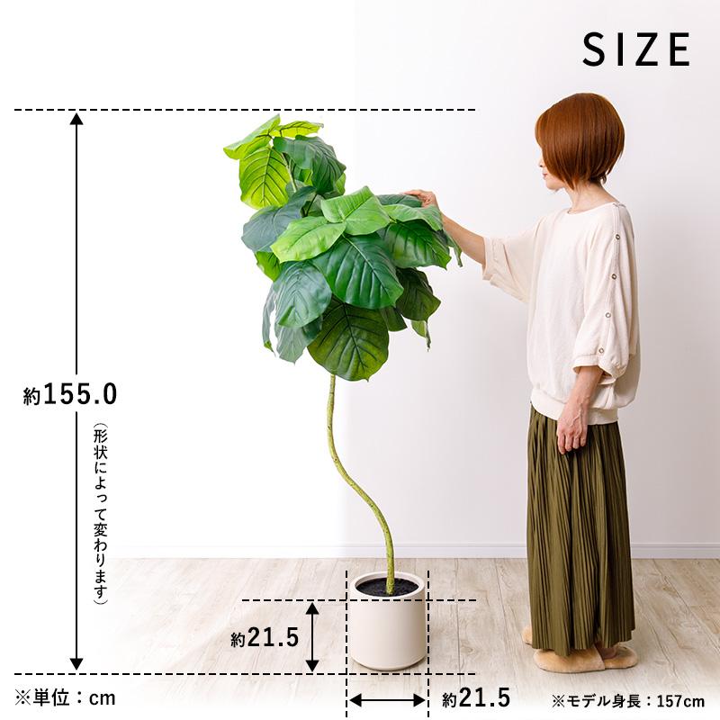 ウンベラータ　フェイクグリーン MINT ウンベラータ フェイクグリーン 光触媒フェイクグリーン 観葉植物