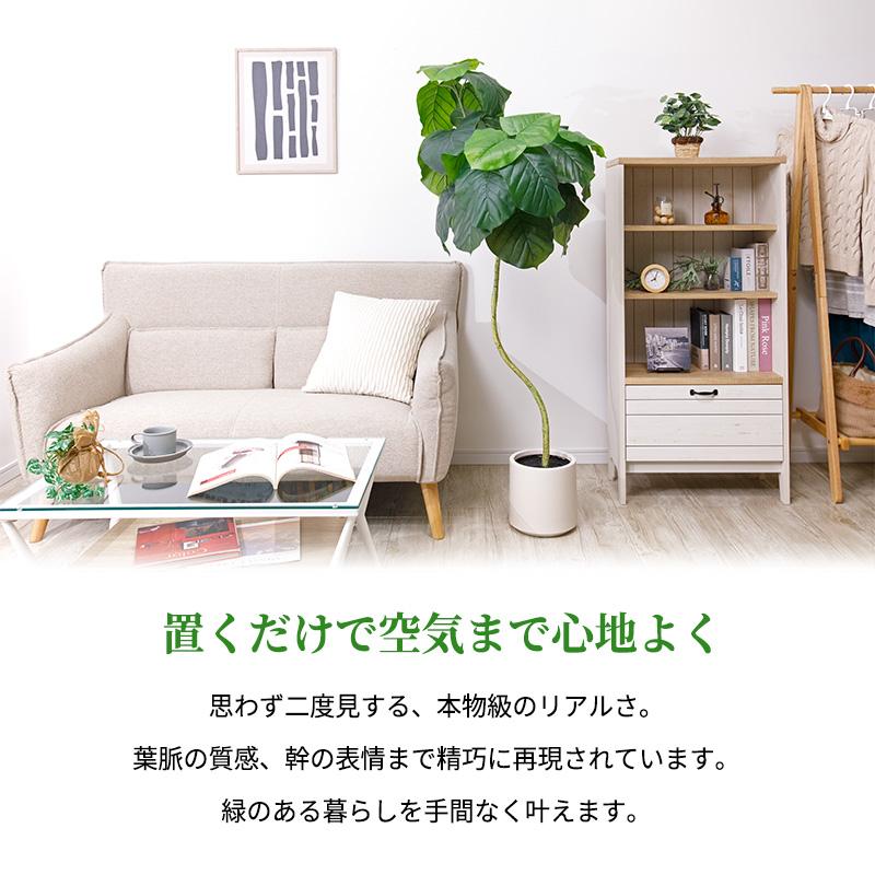 MINT ウンベラータ フェイクグリーン 光触媒フェイクグリーン 観葉植物