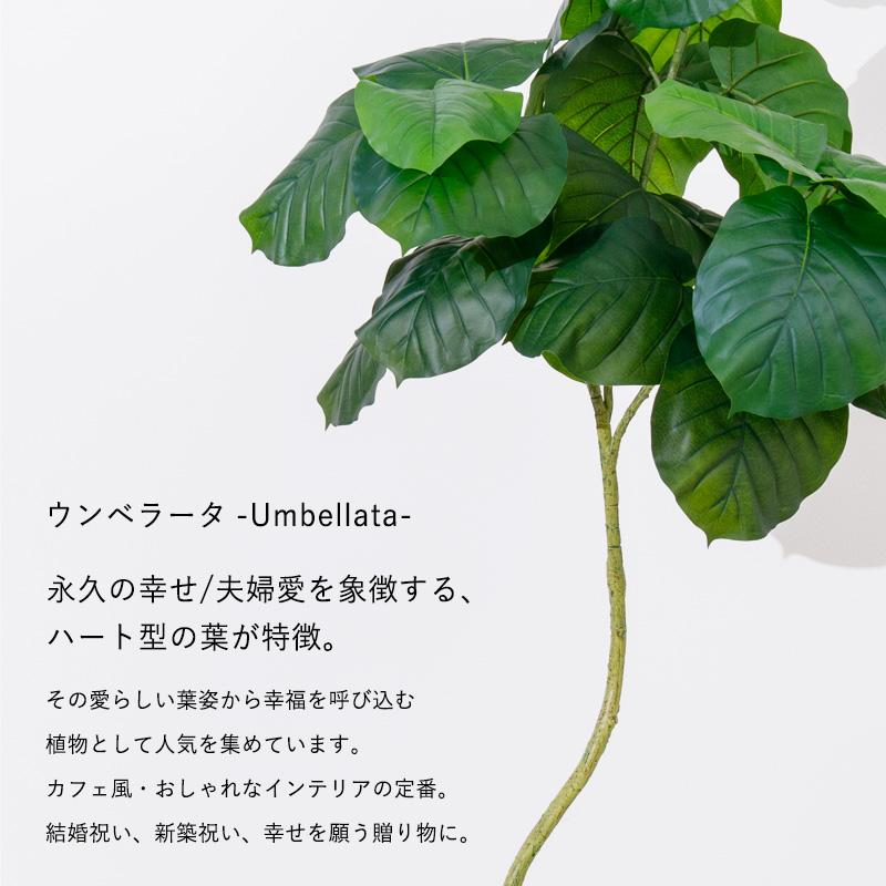 フェイクグリーンウンベラータ観葉植物 フェイクグリーン 人工 造花 光触媒 MINT ウンベラータ フェイクグリーン 光触媒フェイクグリーン 観葉植物