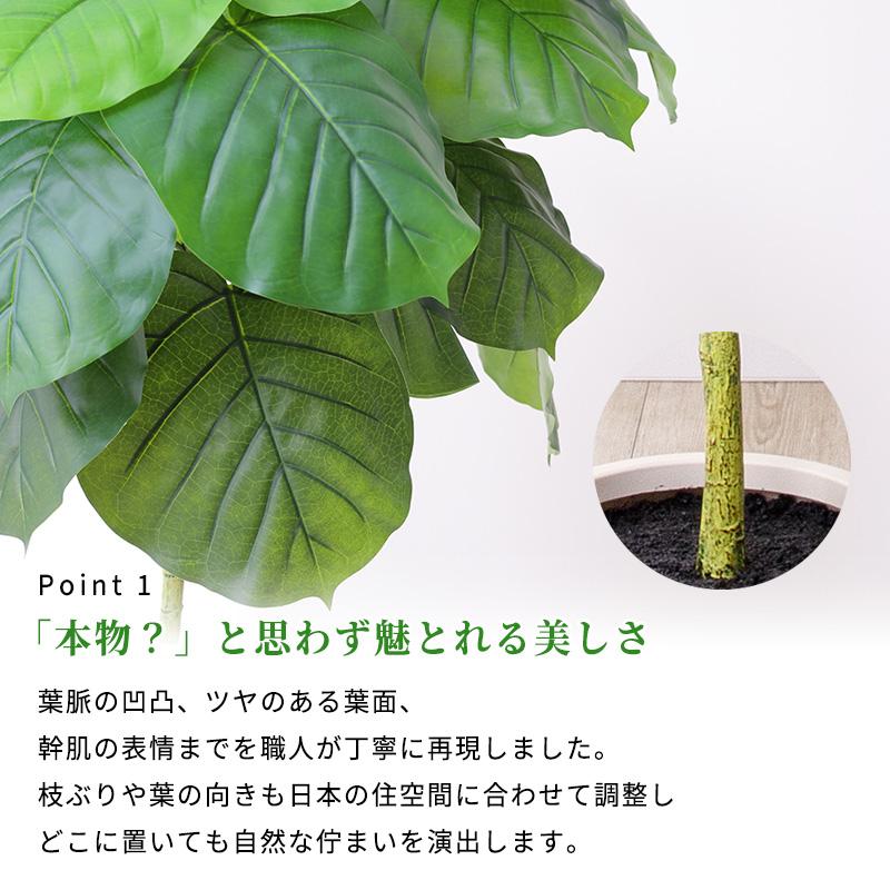 MINT ウンベラータ フェイクグリーン 光触媒フェイクグリーン 観葉植物