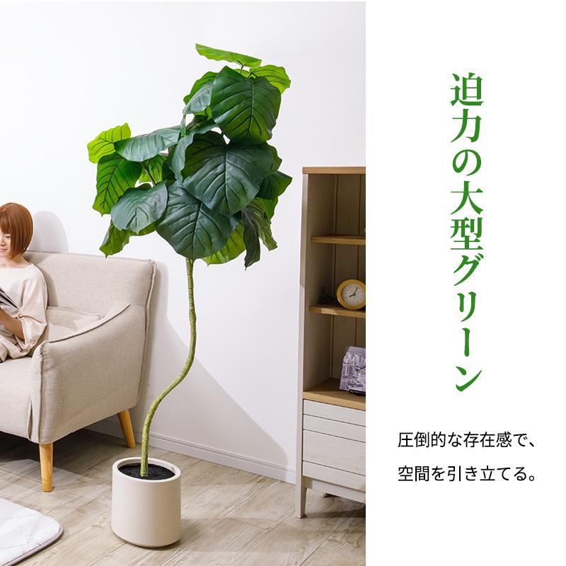 MINT ウンベラータ フェイクグリーン 光触媒フェイクグリーン 観葉植物