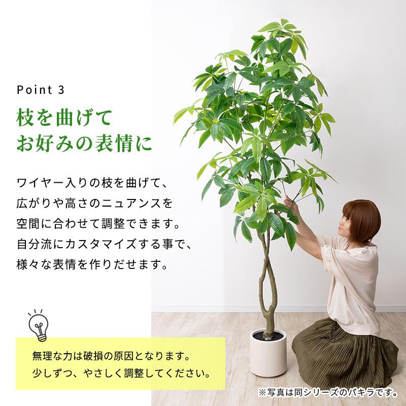 フェイクグリーンウンベラータ観葉植物 フェイクグリーン 人工 造花 光触媒 MINT ウンベラータ フェイクグリーン 光触媒フェイクグリーン 観葉植物