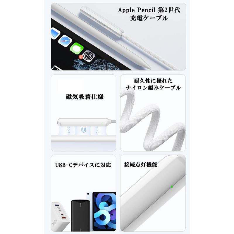 マグネット吸着 Apple Pencil 第2世代 Type-C 充電ケーブル 50cm
