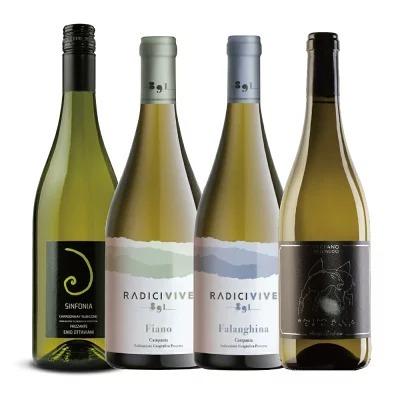 イタリアワイン 4種 飲み比べ セット 白ワイン 辛口 フルボディ 