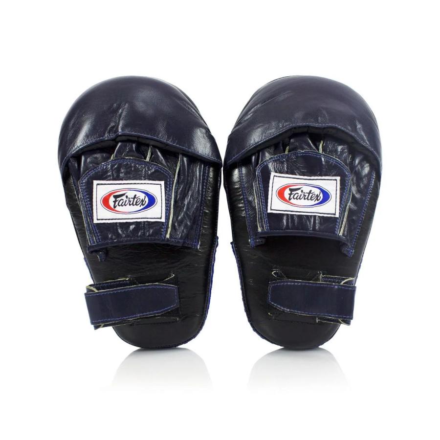 FAIRTEX フォーカスミット FMV8 ミット パンチングミット パンチミット
