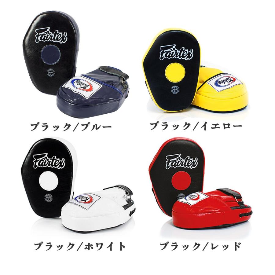 FAIRTEX 合革製　パンチングミット フェアテックス FAIRTEX 本革 クラシックプロミット FMV10 フォーカス
