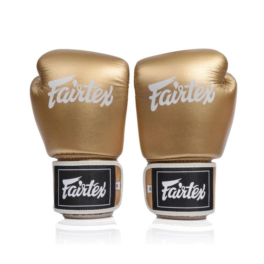 フェアテックス FAIRTEX ボクシンググローブ BGV1C-PLUS ムエタイ