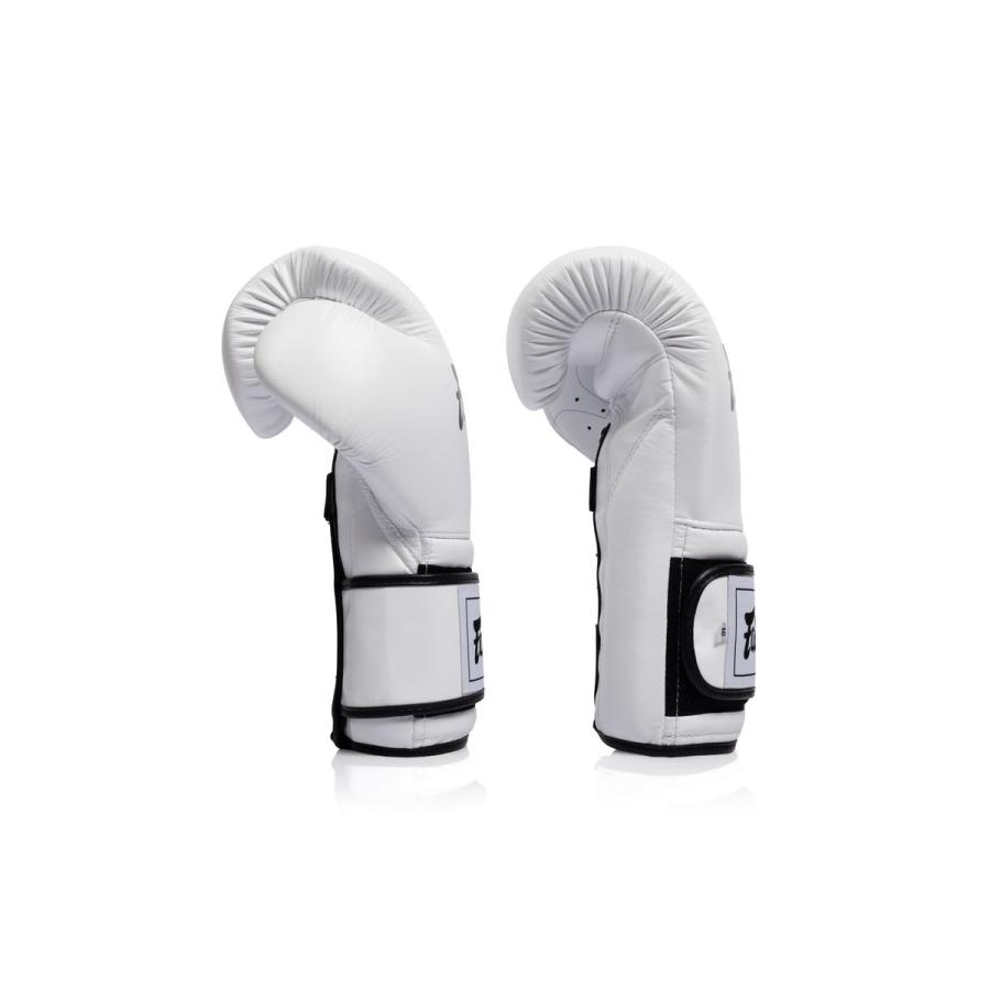 FAIRTEX ボクシンググローブ BGV9C-PLUS メキシカンスタイル 国際式