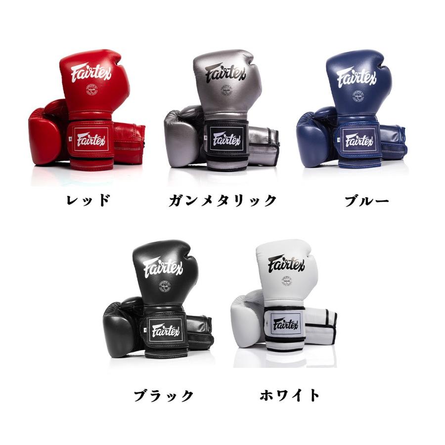 FAIRTEX ボクシンググローブ BGV9C-PLUS メキシカンスタイル 国際式