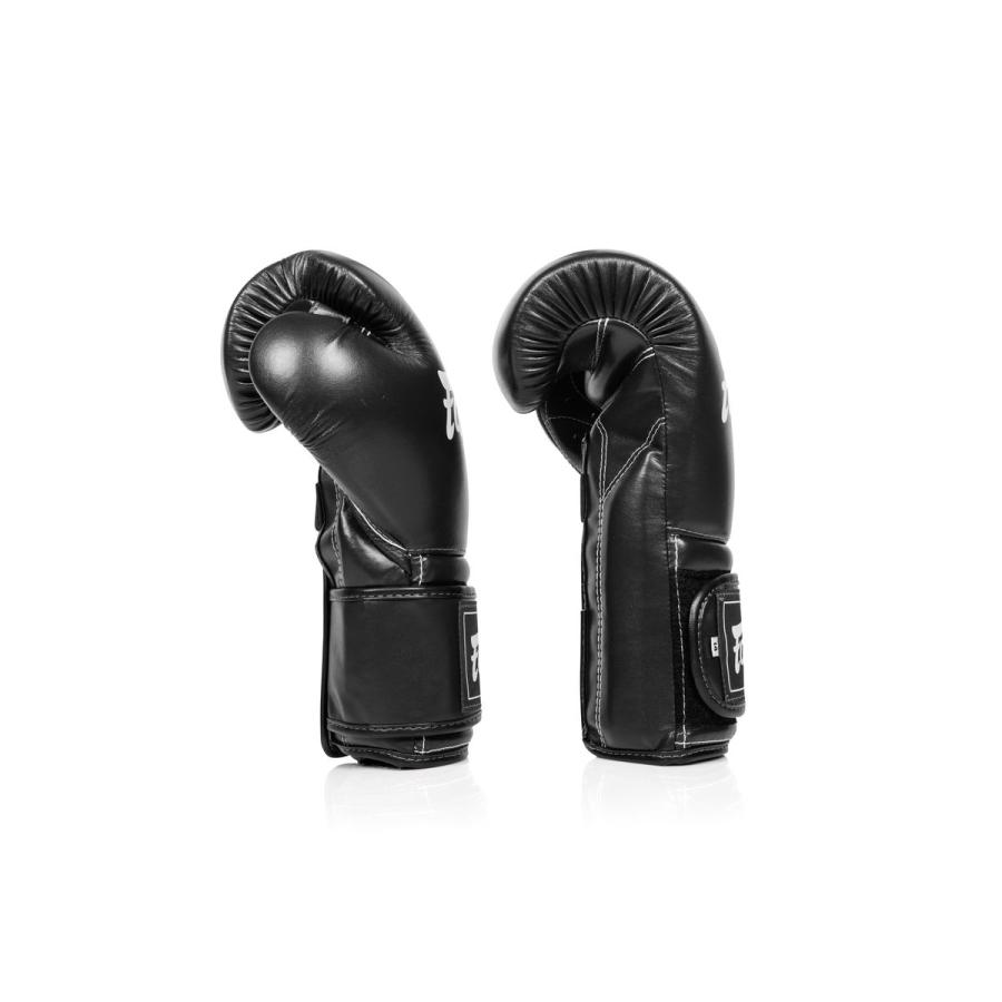 FAIRTEX ボクシンググローブ BGV9C-PLUS メキシカンスタイル 国際式