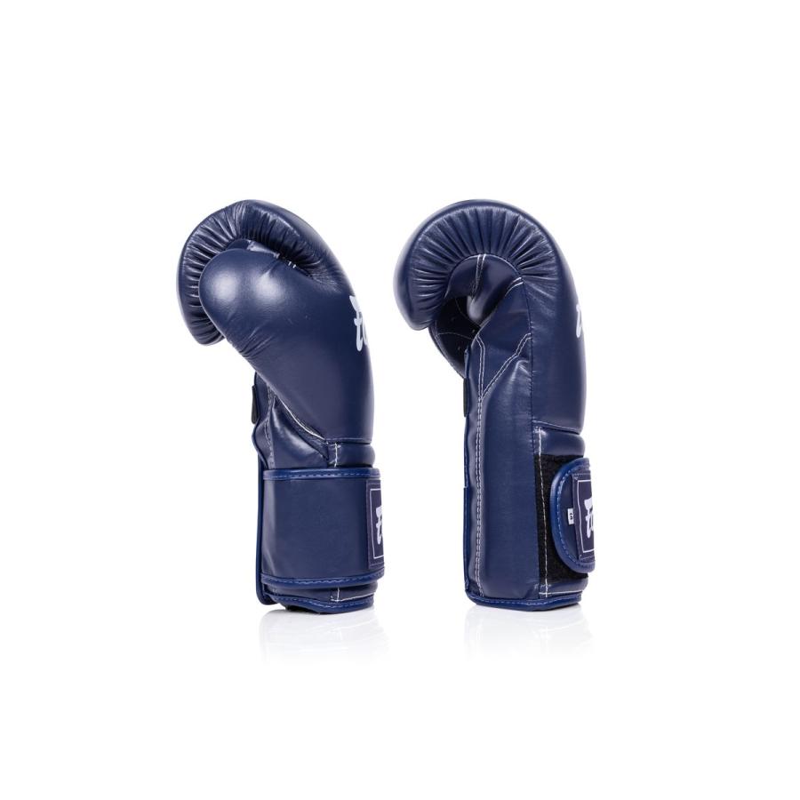 FAIRTEX ボクシンググローブ BGV9C-PLUS メキシカンスタイル 国際式