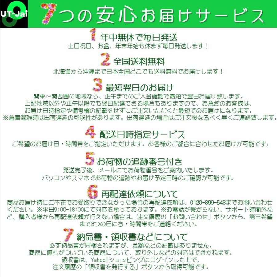 ルイジボルミオリ デキャンタ ウィスキーボトル 蓋付 ガラス