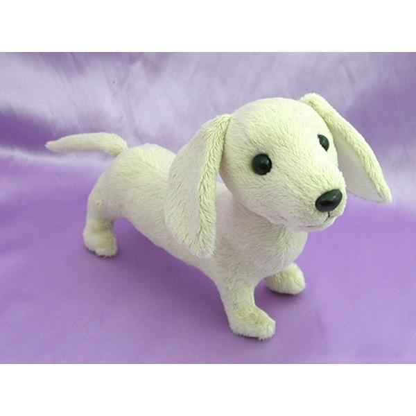 dog-md-cream