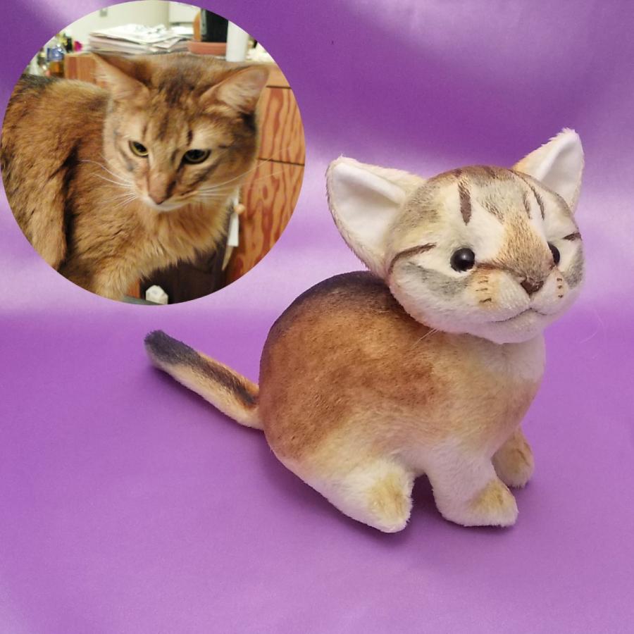 ふにゃっくた♡おねんね子猫ちゃん♡アートドール♡ぬいぐるみ♡ くまちゃんお帽子♡生後1週間♡子猫ちゃんとうさちゃん♡アート
