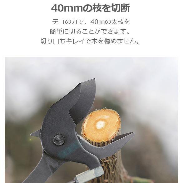 【新品】ニシガキ 太丸 2000 N-155 高枝切りばさみ テコ式太枝切り ハサミ ２ｍ 楽天市場】【配送条件有】ニシガキ工業 太丸 2000 固定式 太枝切鋏 N