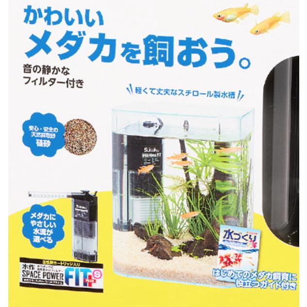 めだか、メダカの飼育セット メダカ飼育セット 水槽」の人気商品一覧