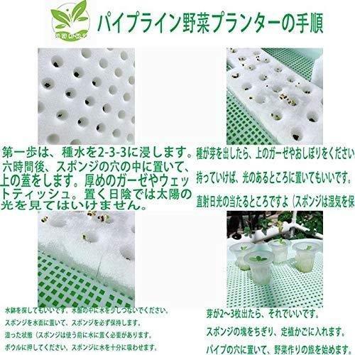 水耕栽培キット 野菜 栽培キット すいこう栽培キット 室内 いちご 家庭菜園 水耕栽培セット プランター 108穴 その他ガーデニング、園芸用品 ZYX1098318672(10776円)