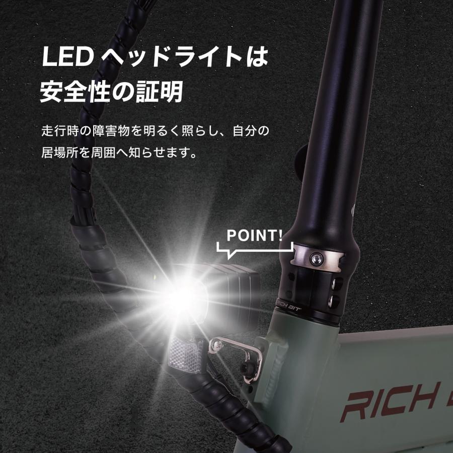 RICH BIT ( リッチビット ) CITY ASSIST シティアシスト 電動アシスト