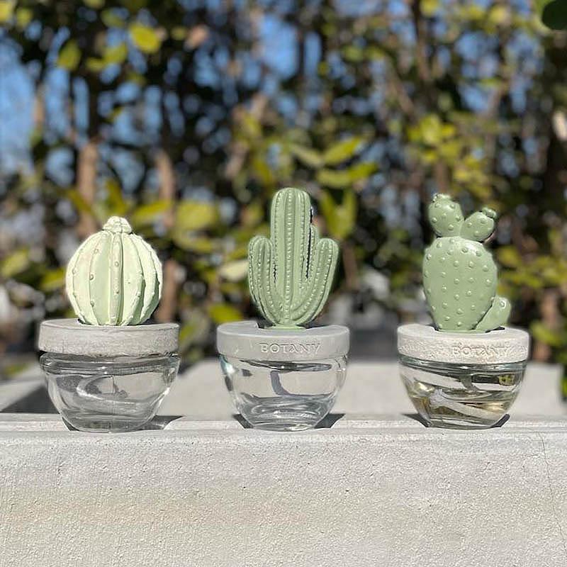 DULTON（ダルトン） CACTUS FRAGRANCE DIFFUSER カクタス フレグランス
