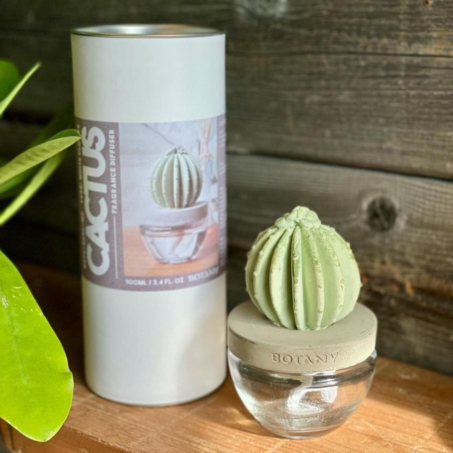 DULTON（ダルトン） CACTUS FRAGRANCE DIFFUSER カクタス フレグランス