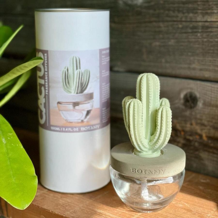 DULTON（ダルトン） CACTUS FRAGRANCE DIFFUSER カクタス フレグランス