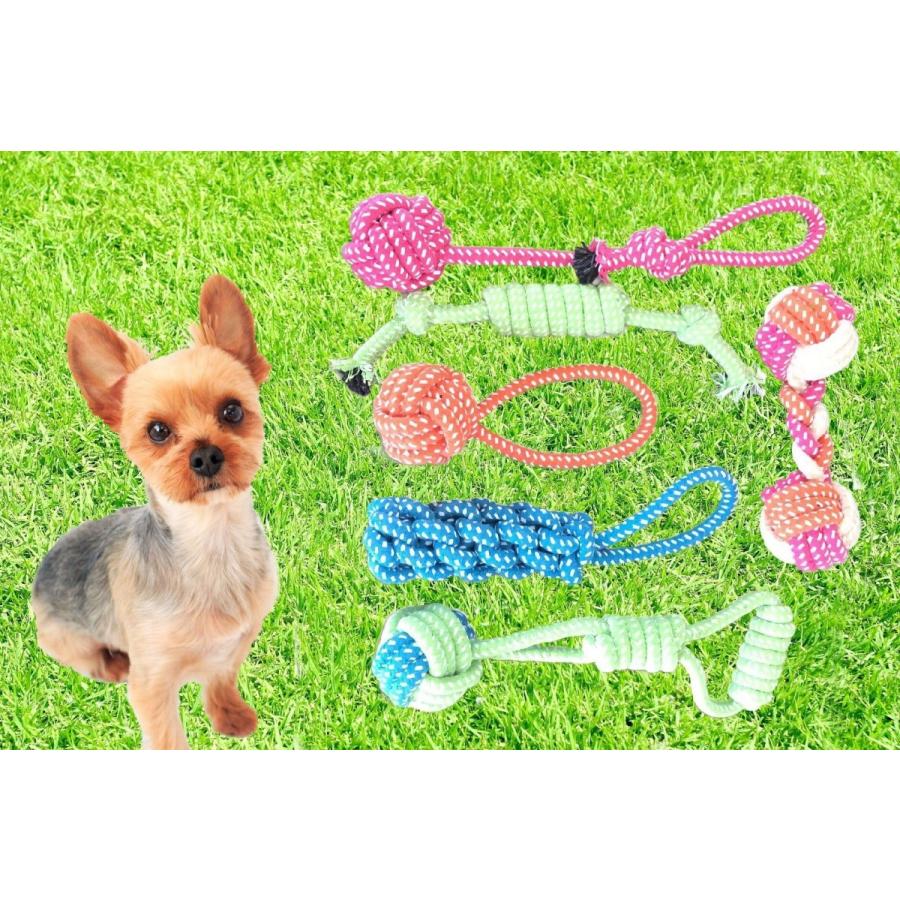犬 おもちゃ 噛む玩具 噛み癖予防 しつけ 6個セット : field ship